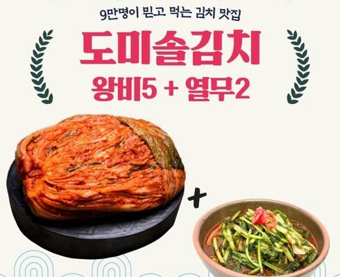 가성비 최고 도미솔김치 TOP8 제품