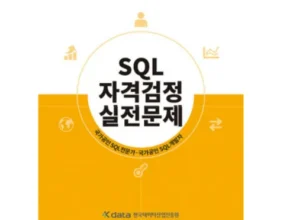 솔직 리뷰 sql자격검정실전문제 추천 구매가이드 (Top8 리뷰)