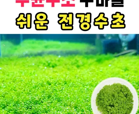 인기 폭발 전경수초 꼼꼼한 후기