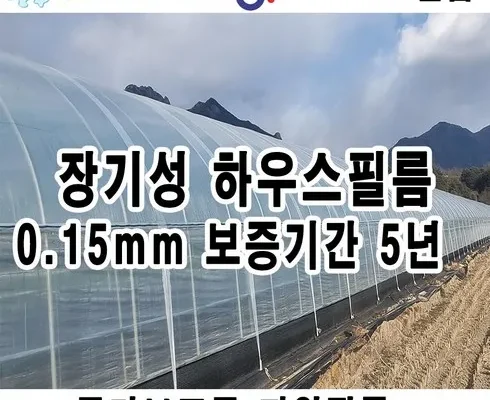 맘카페에서 난리난 개인사업자장기렌트 별점 5점 제품