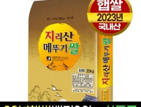 이걸로 종결 쌀20kg 추천 상품 가격 비교