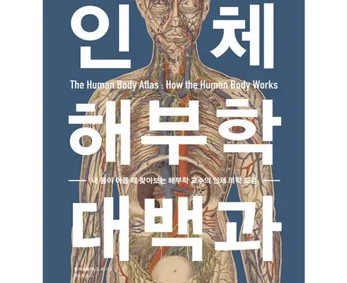 셀럽들이 찾는 근골격해부학 베스트8 구매후기